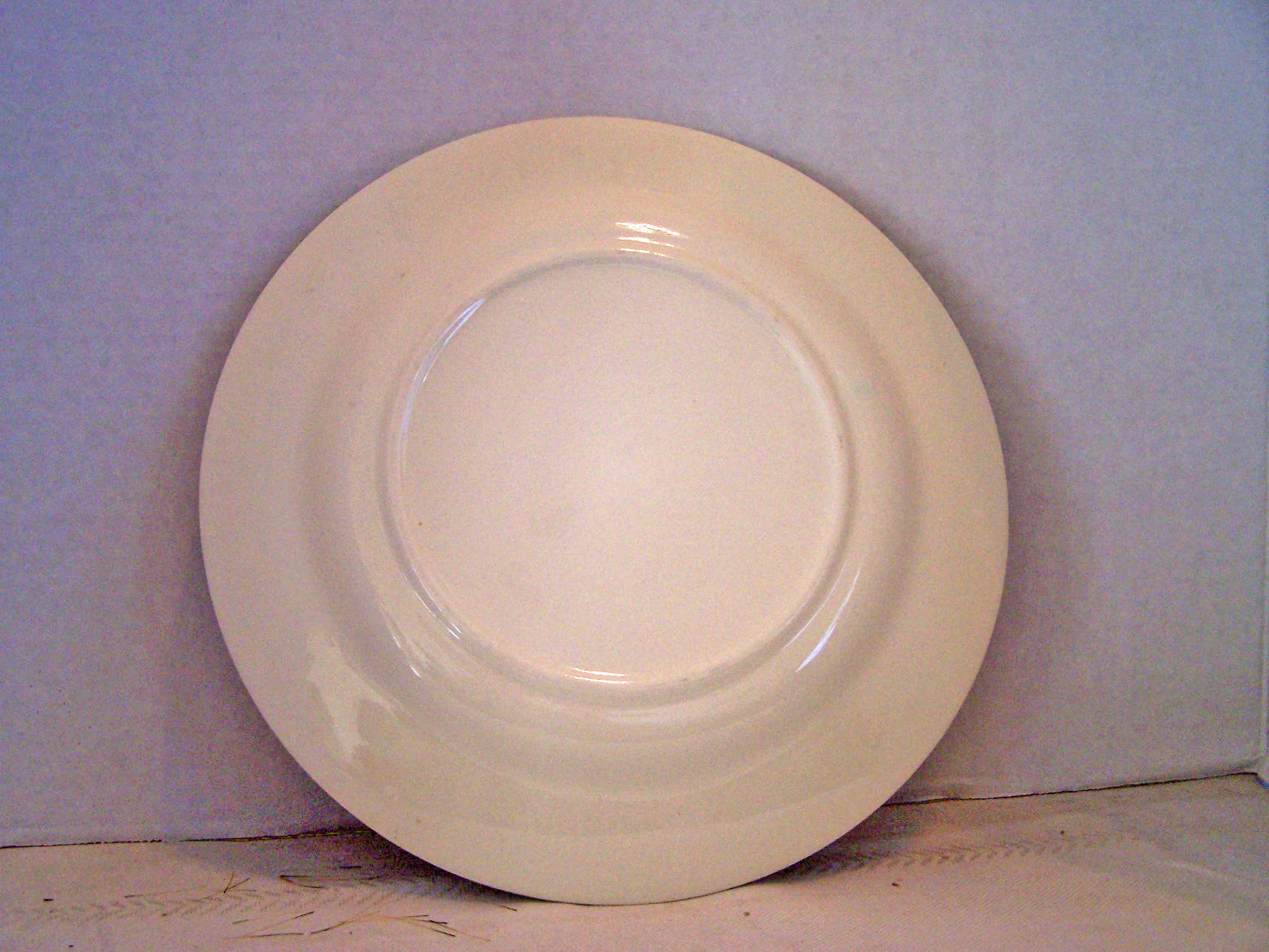 Souvenir Plate from Kentucky