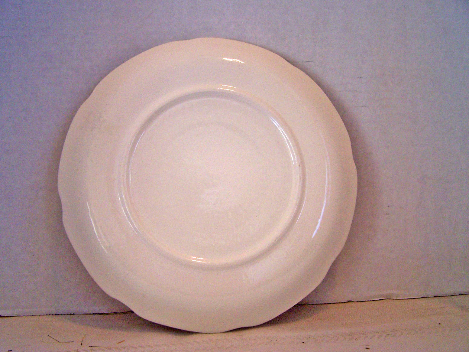 Souvenir Plate from South Carolina
