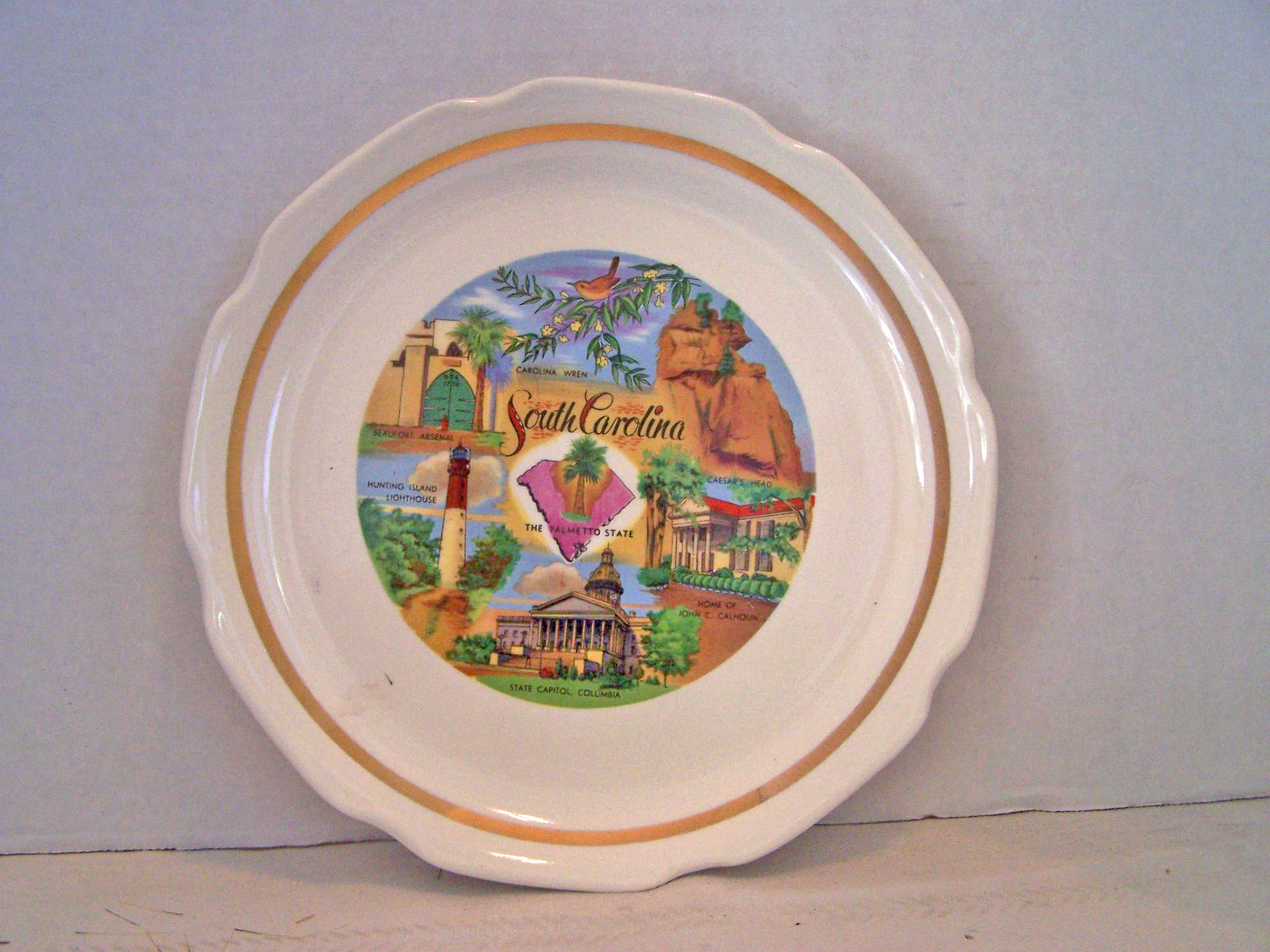 Souvenir Plate from South Carolina