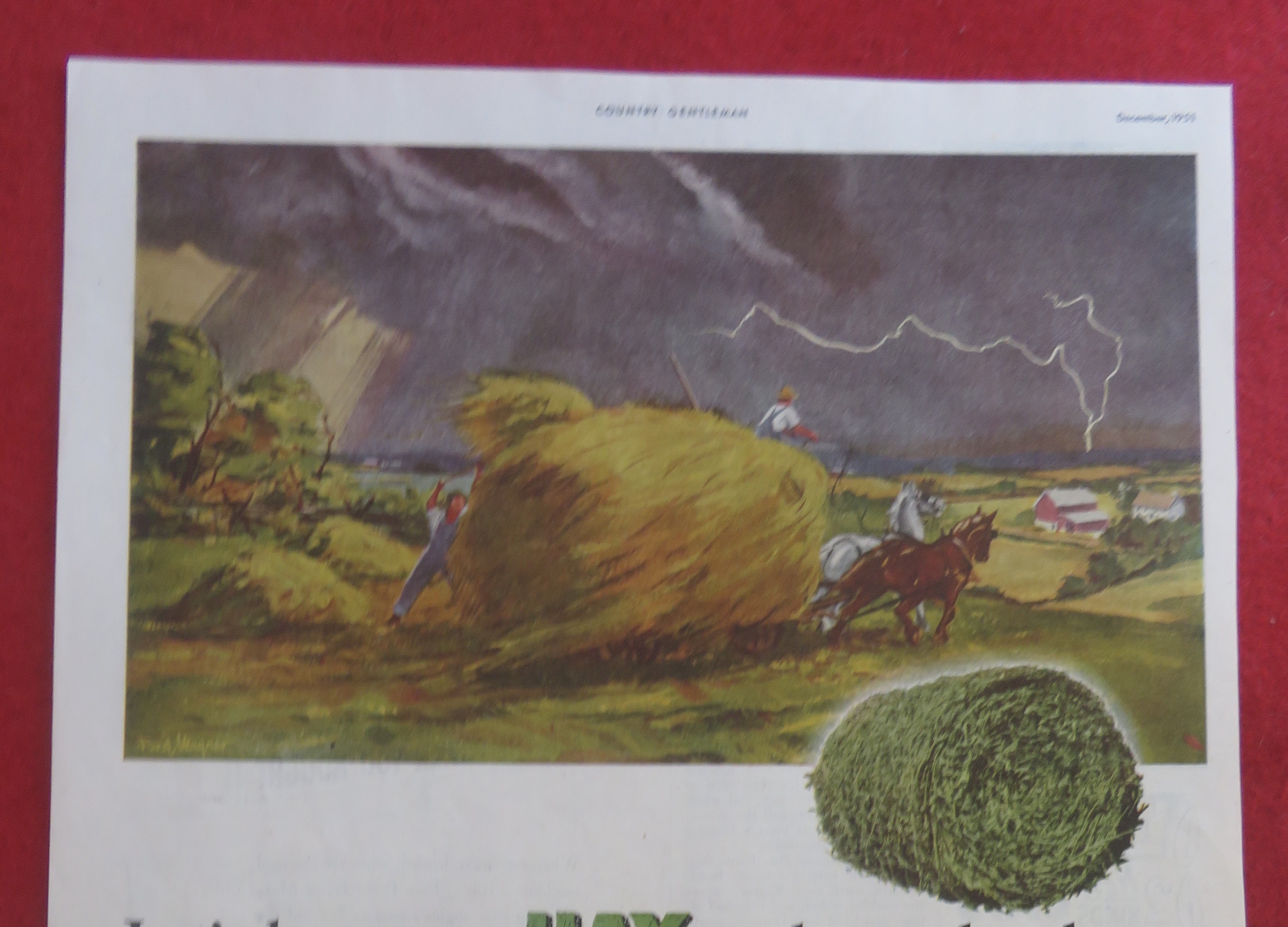 1951 Allis Chalmers Tractor with Collecting Hay