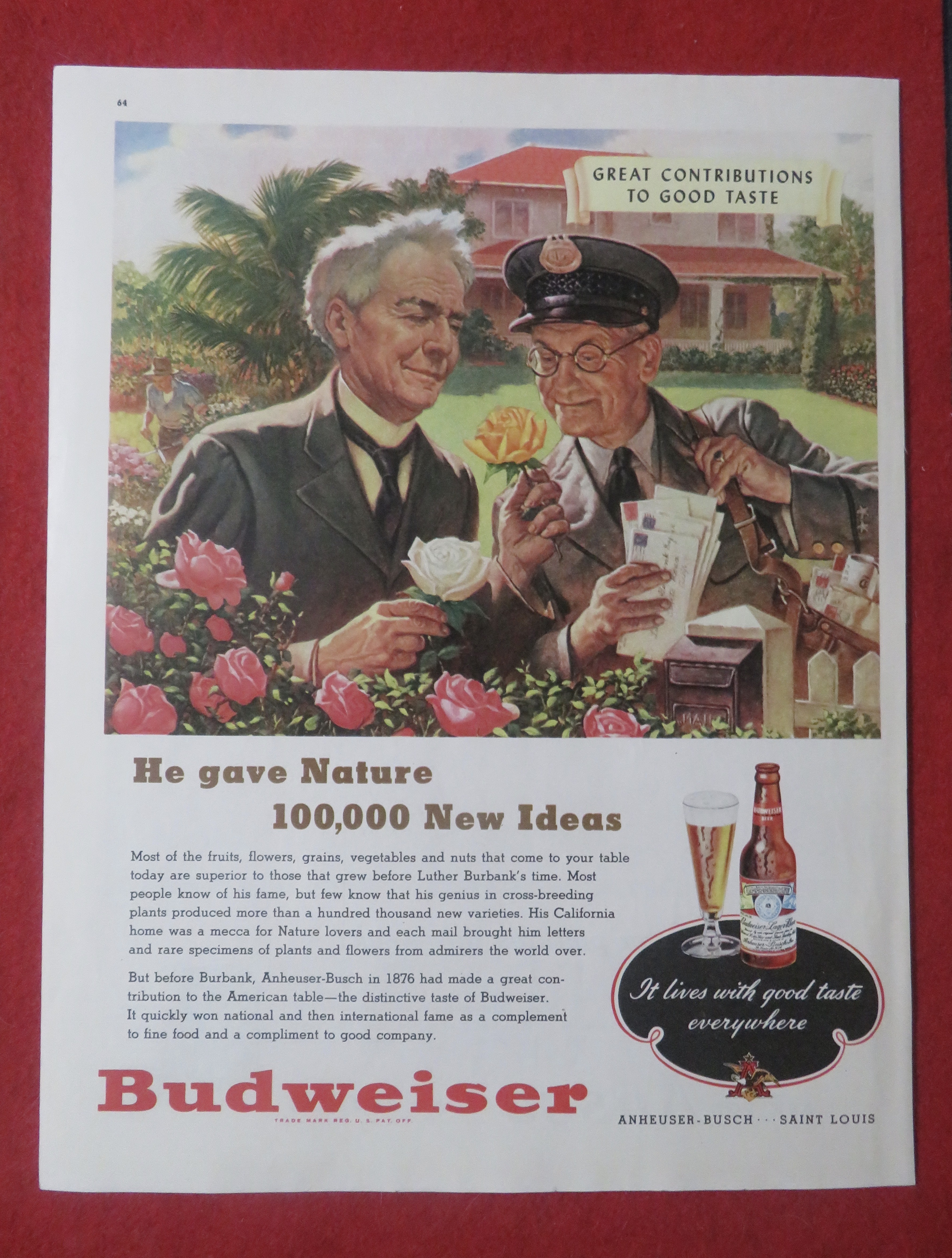 1948 Budweiser Beer with Mailman & Man Look At A Flower