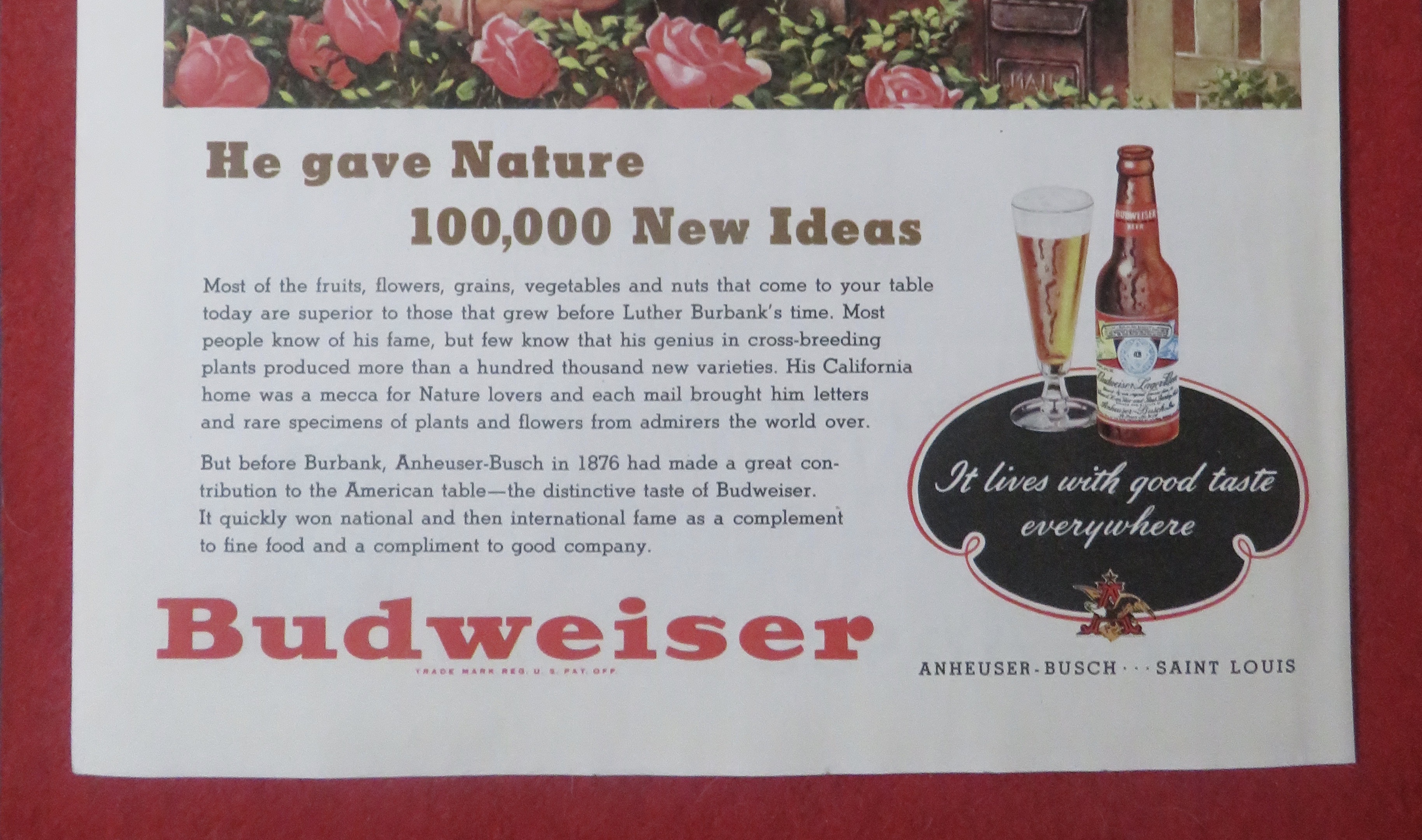 1948 Budweiser Beer with Mailman & Man Look At A Flower