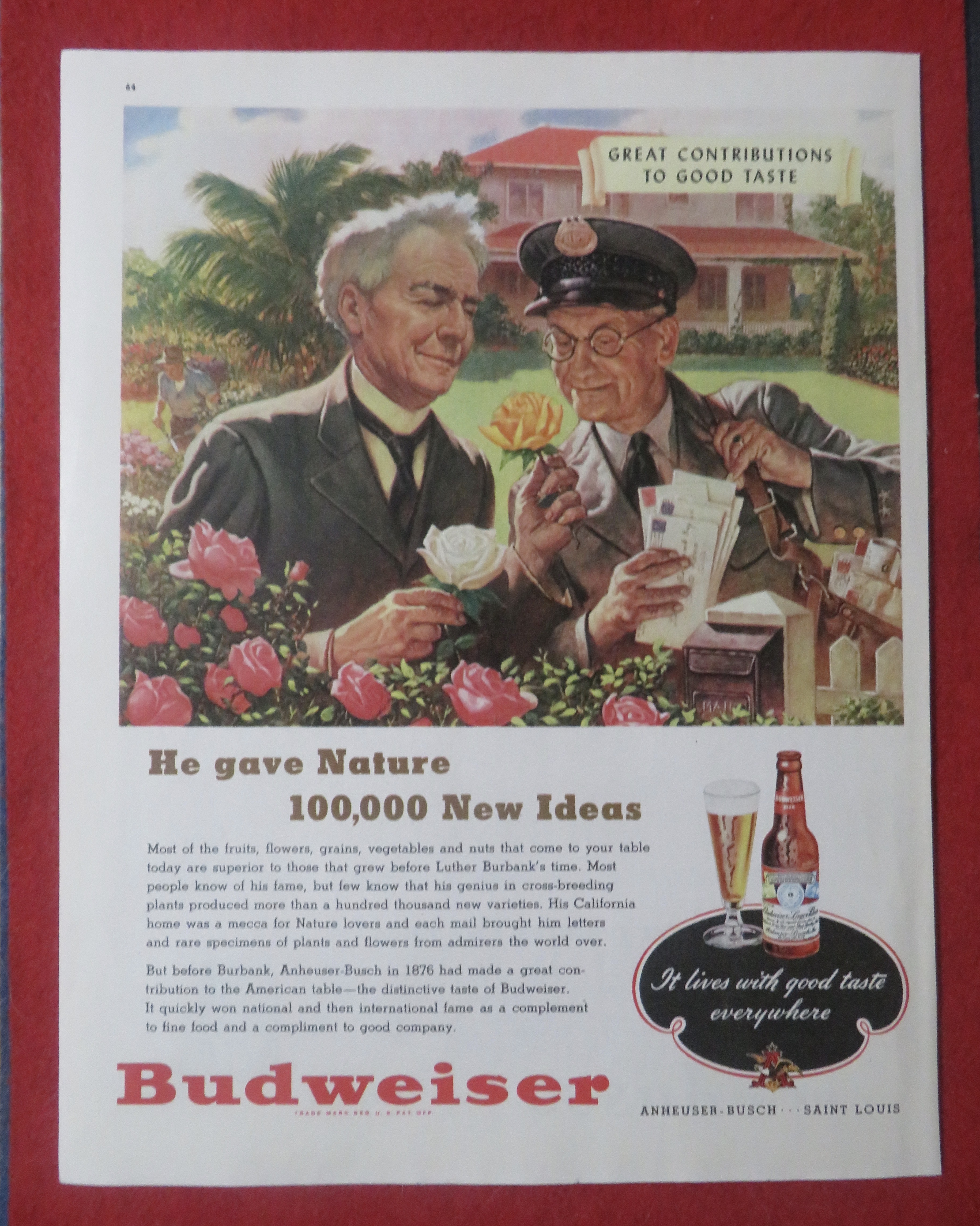 1948 Budweiser Beer with Mailman & Man Look At A Flower
