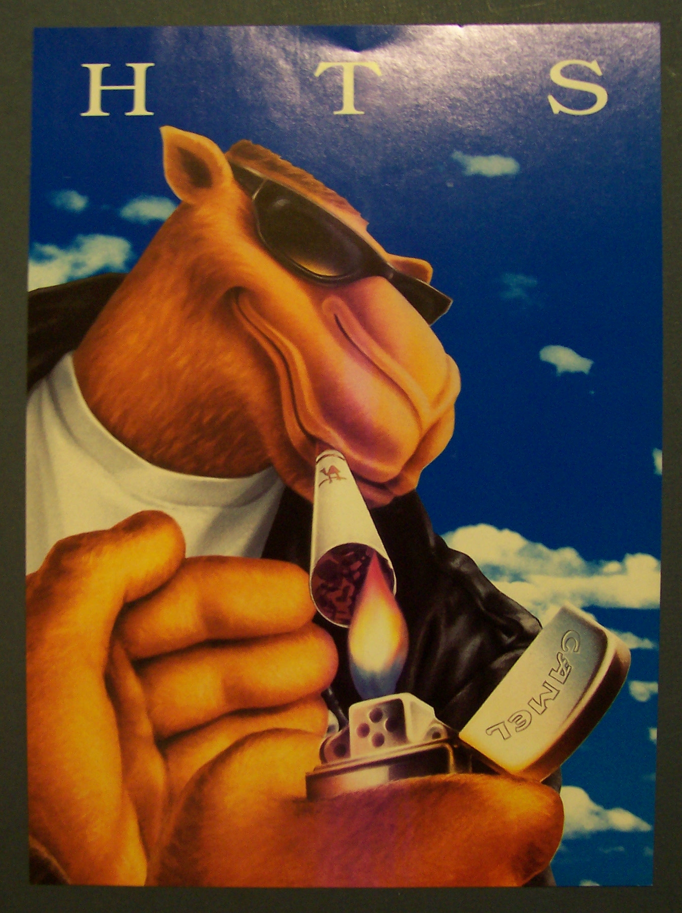 1995  Camel  Cigarettes  with  Joe  Camel