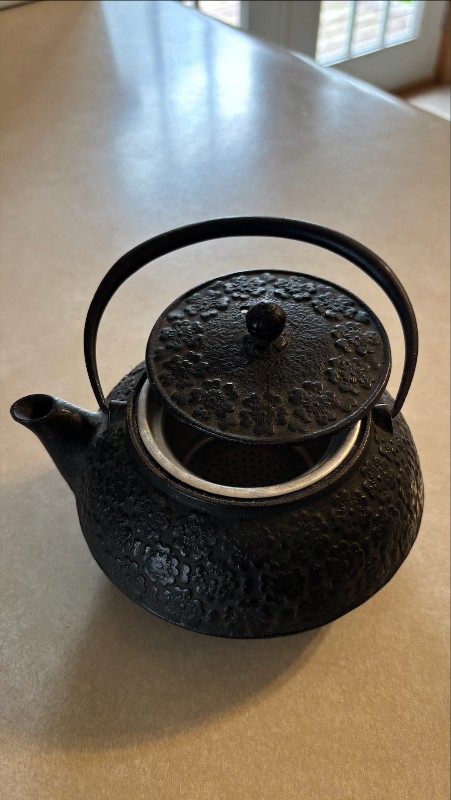 Cast iron teapot