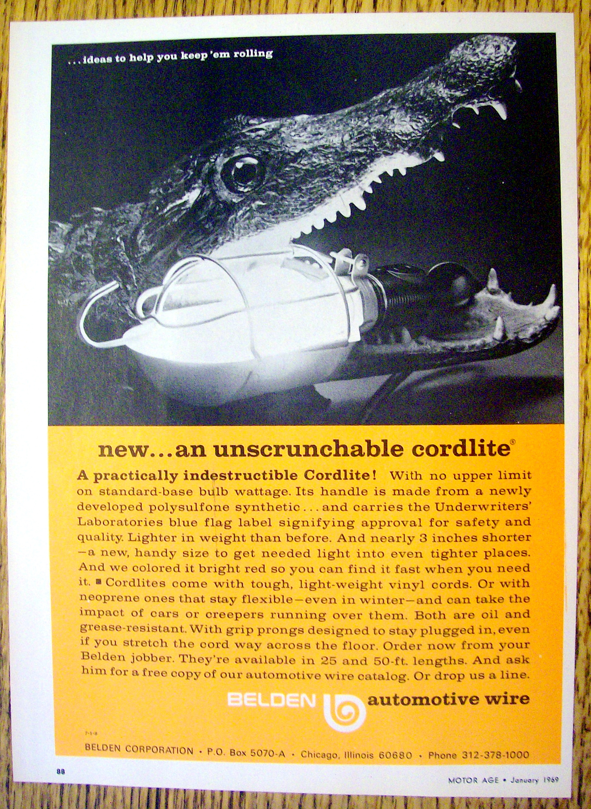 1969 Beldon Cordlite with Alligator with Light in Mouth