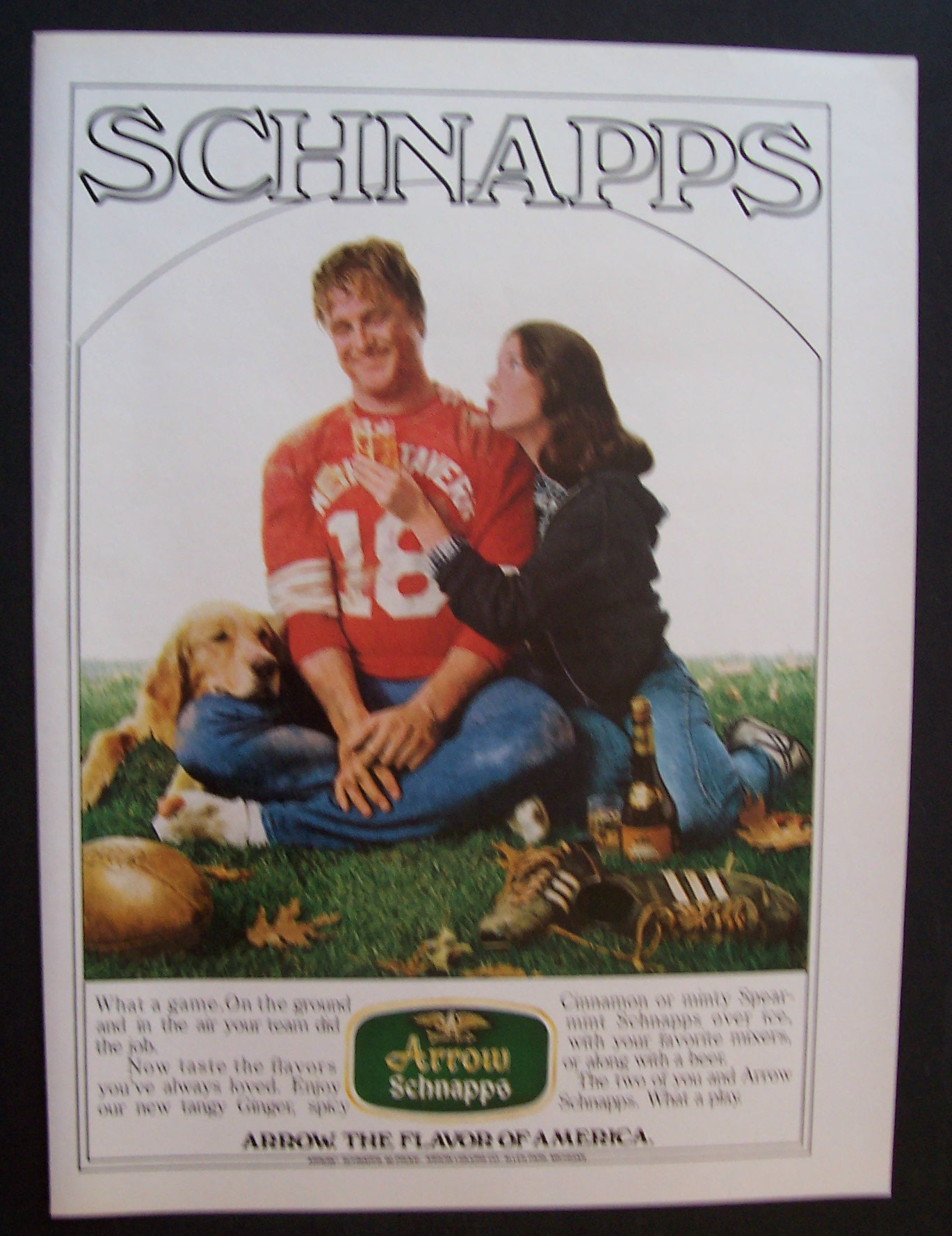 1981  Arrow  Schnapps