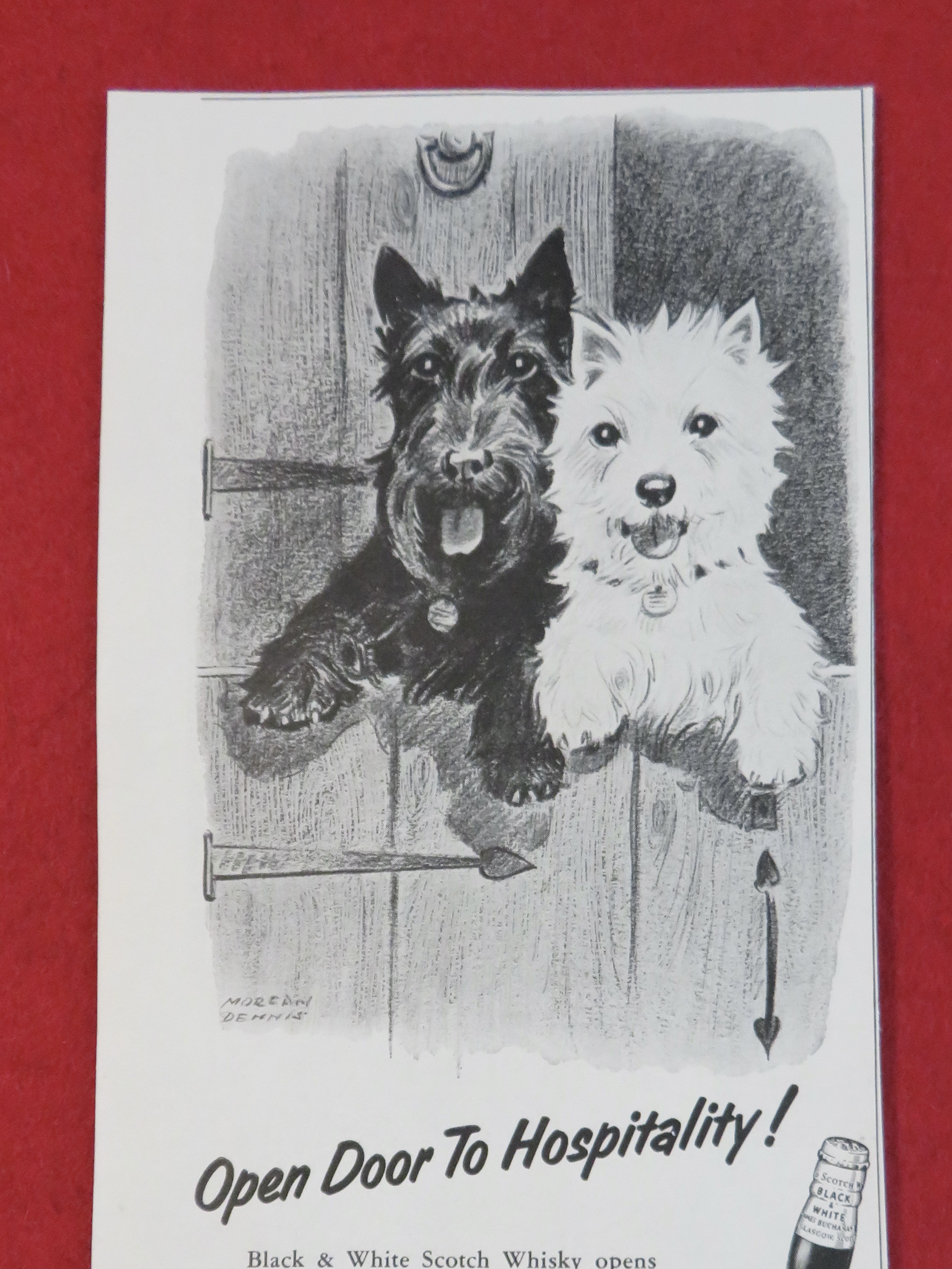 1958 Black & White Scotch Whiskey with the Terriers
