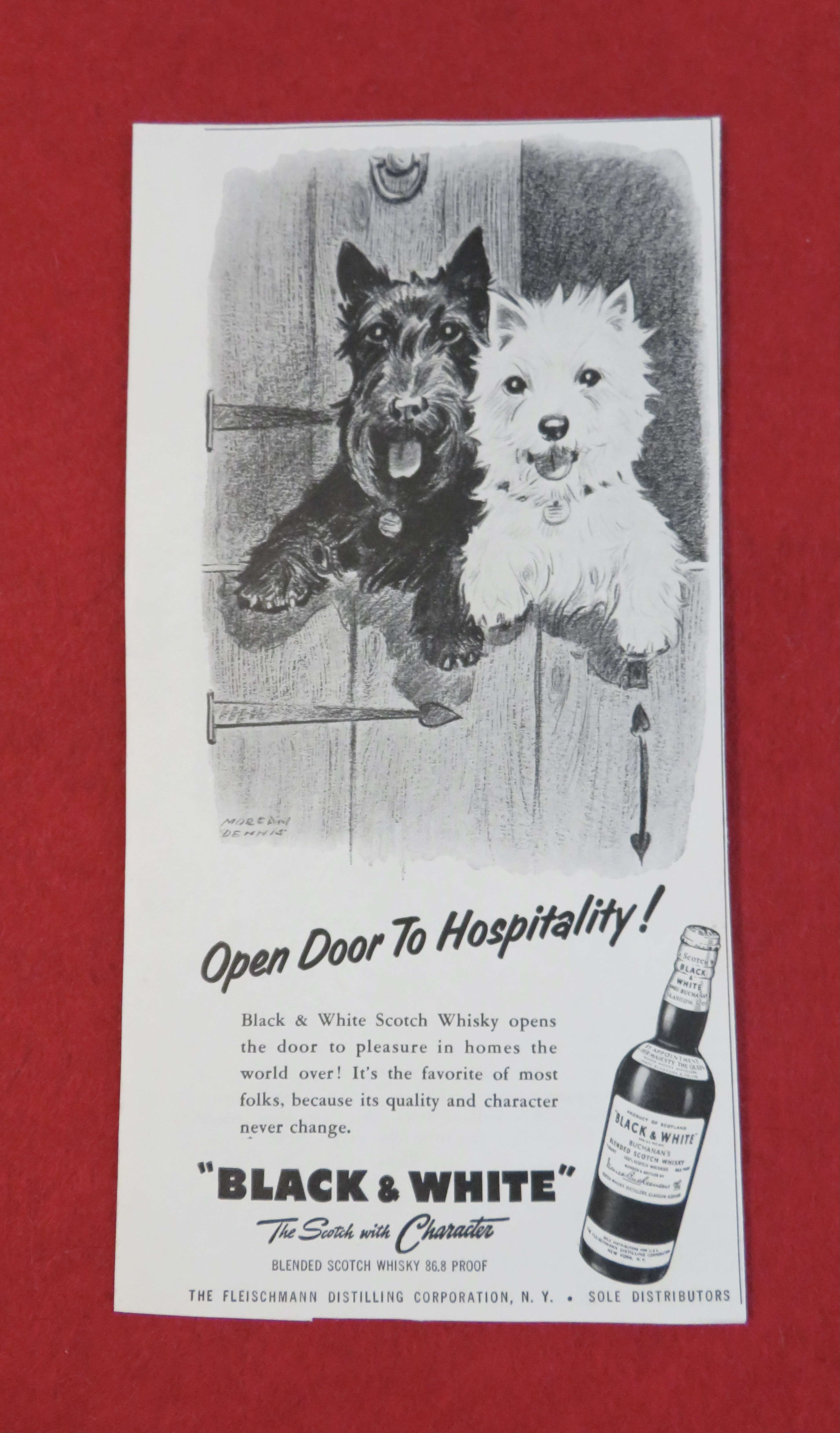 1958 Black & White Scotch Whiskey with the Terriers