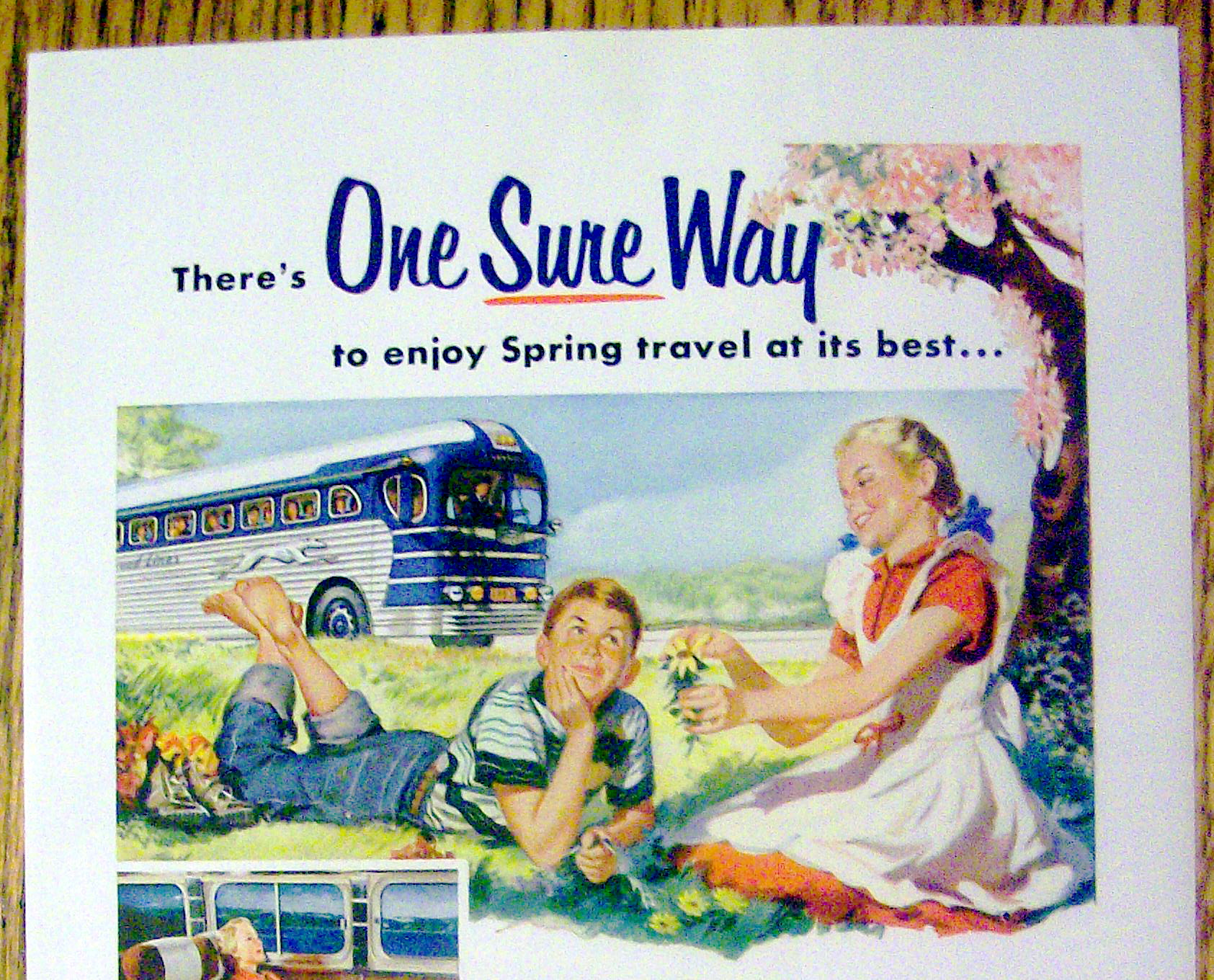 1953 Greyhound