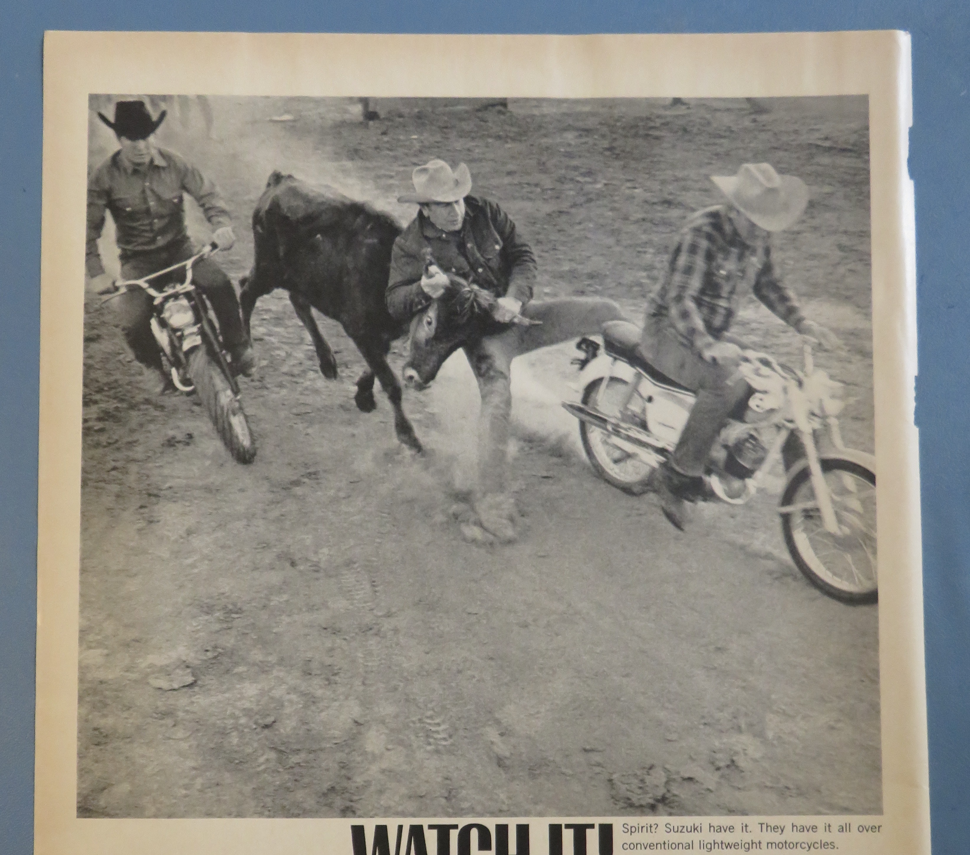 1965 Suzuki Motorcycle with Man Catching A Cow