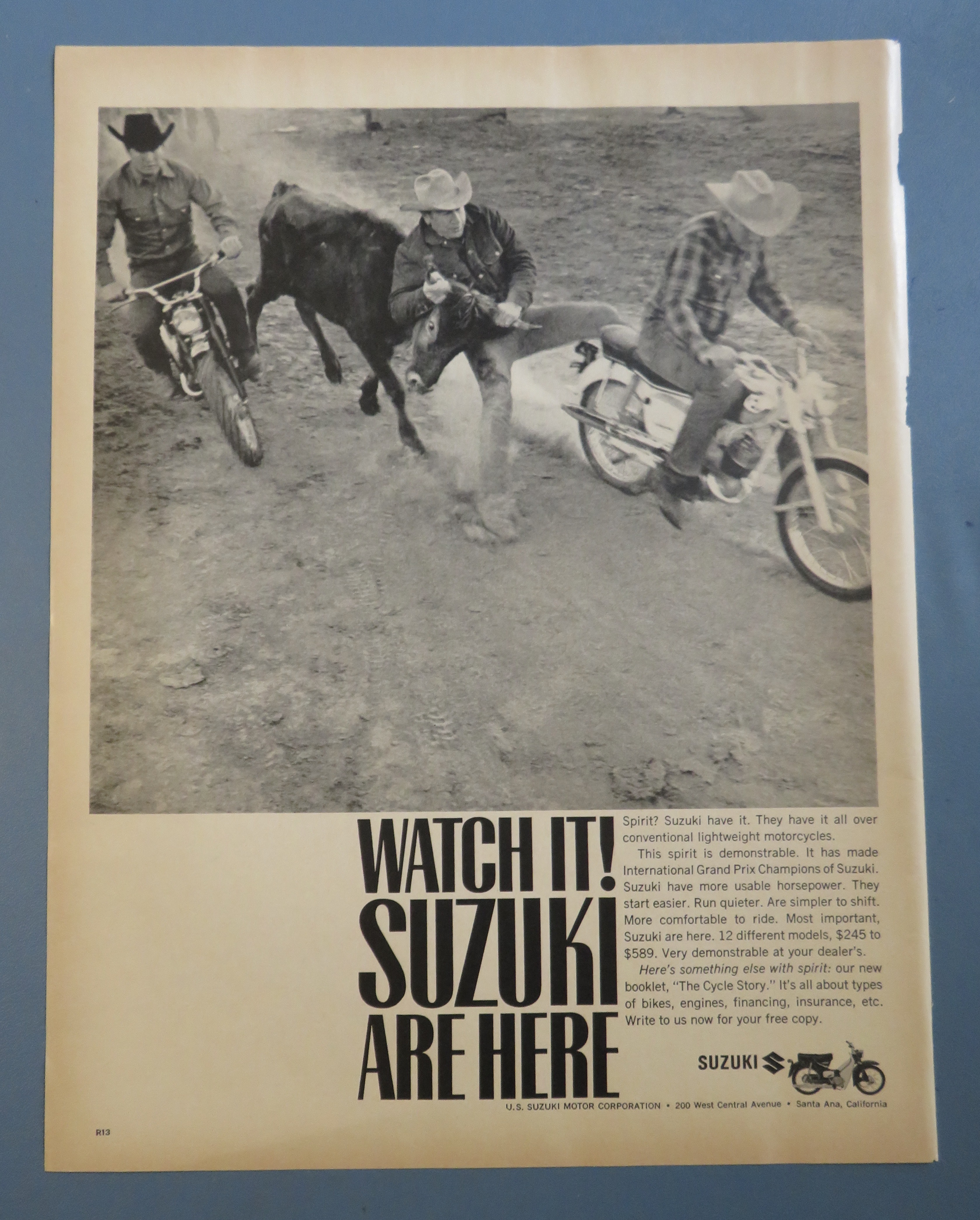 1965 Suzuki Motorcycle with Man Catching A Cow
