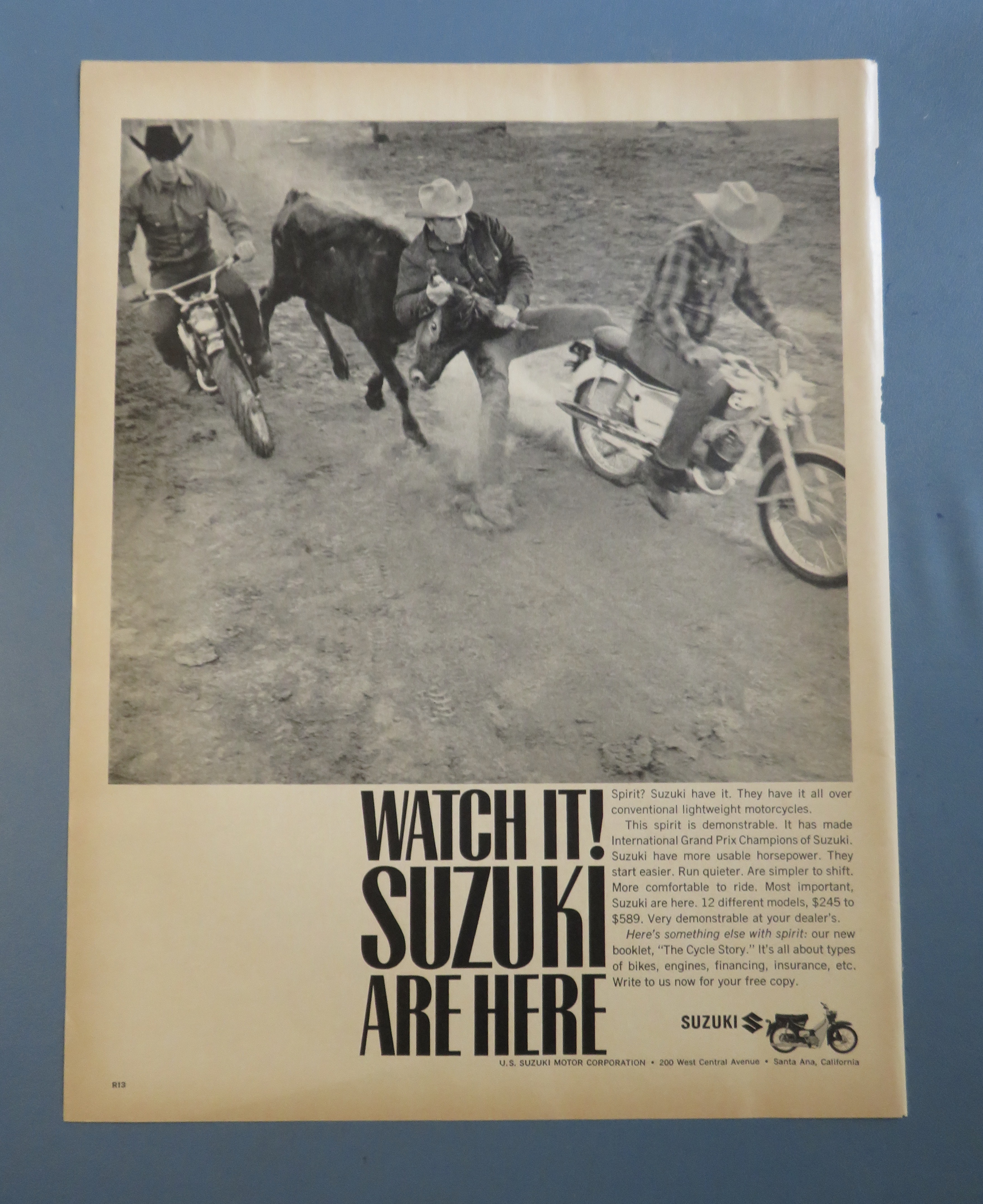 1965 Suzuki Motorcycle with Man Catching A Cow