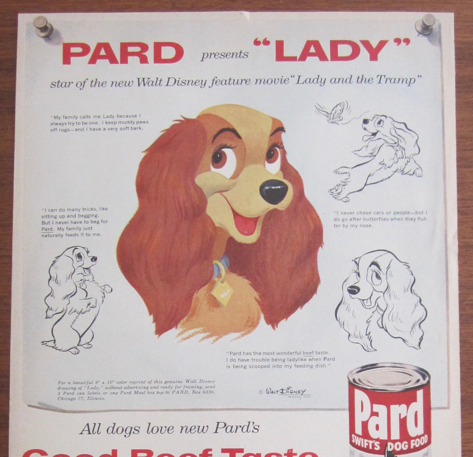 1955 Pard Dog Food with Lady and the Tramp