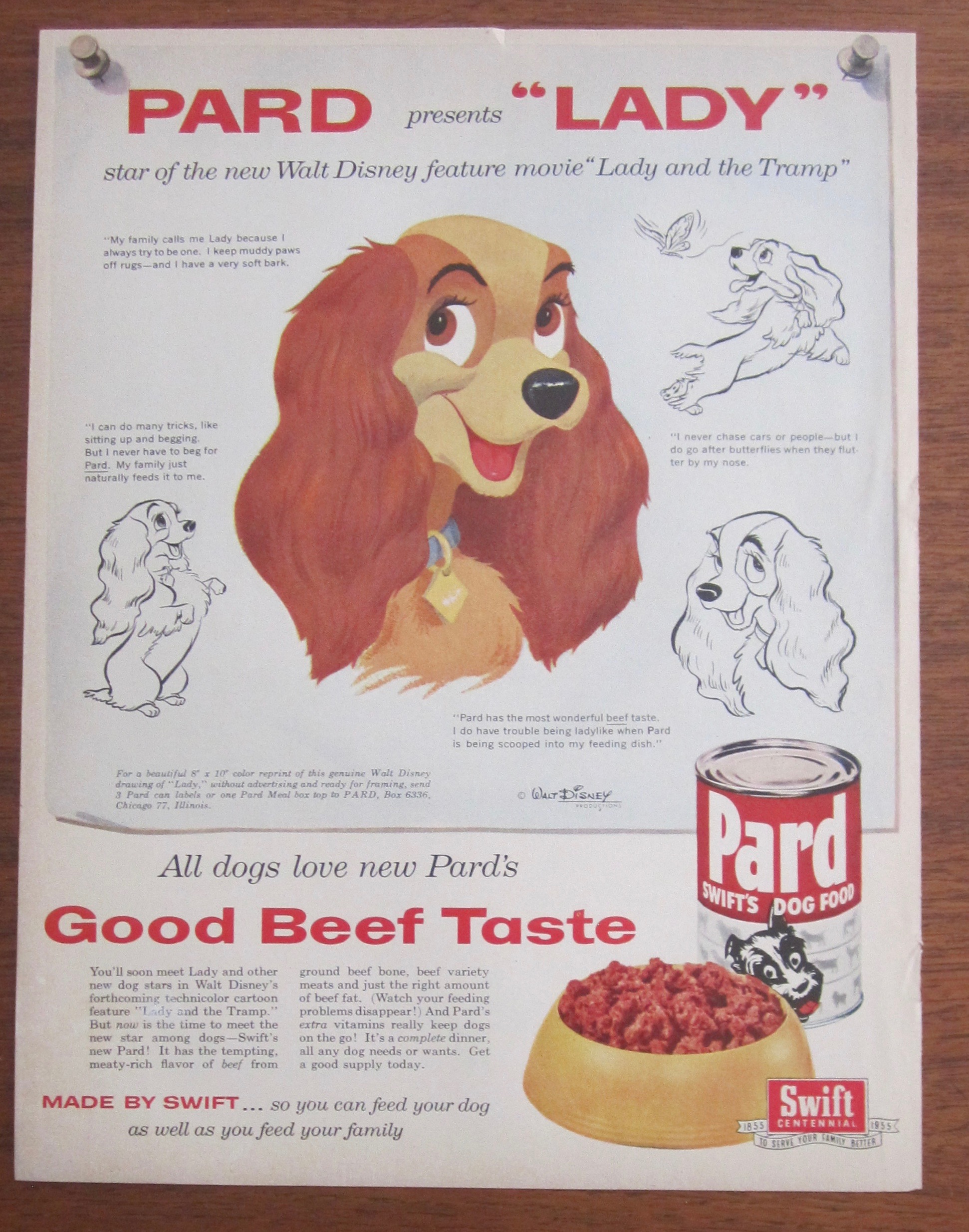 1955 Pard Dog Food with Lady and the Tramp