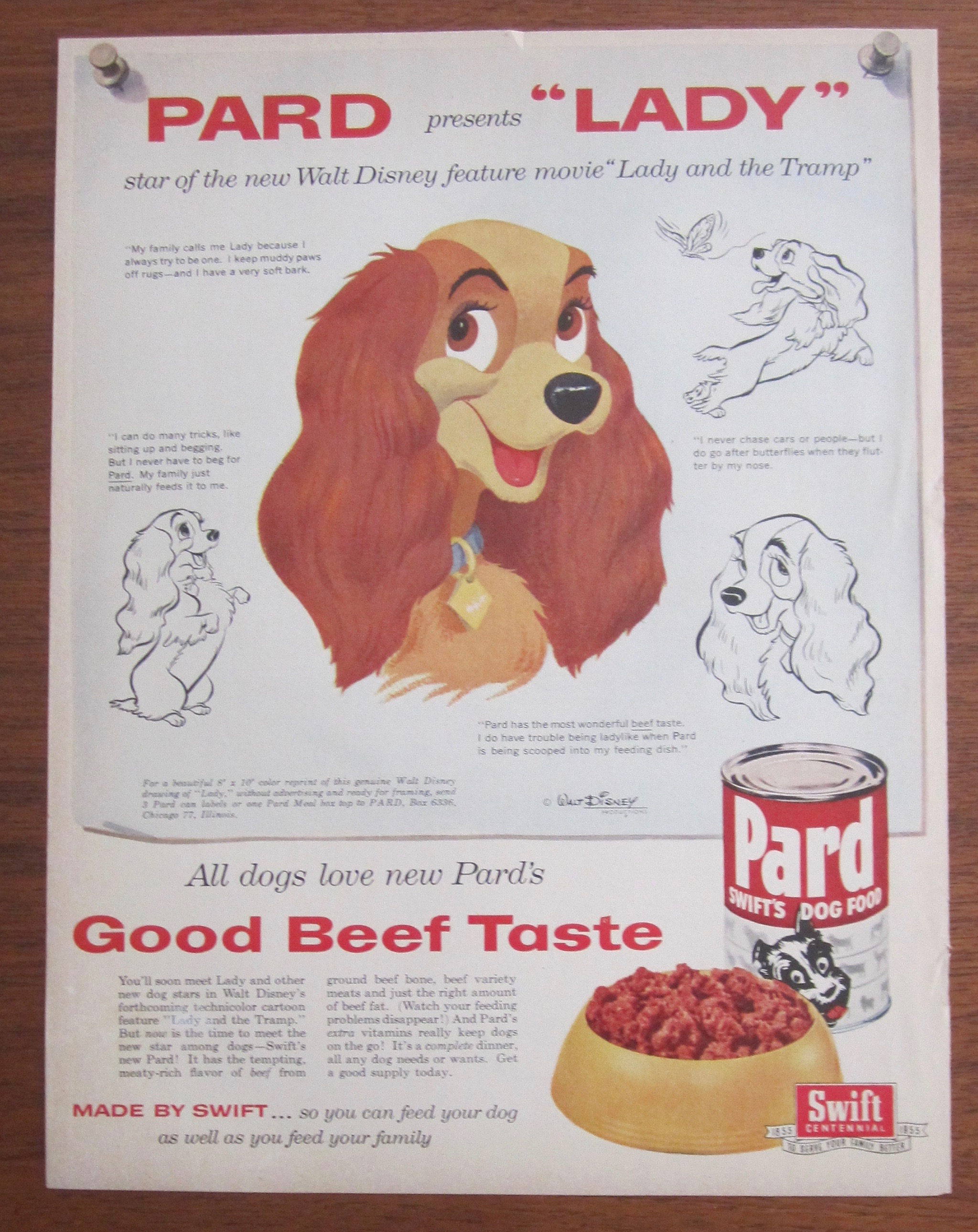 1955 Pard Dog Food with Lady and the Tramp