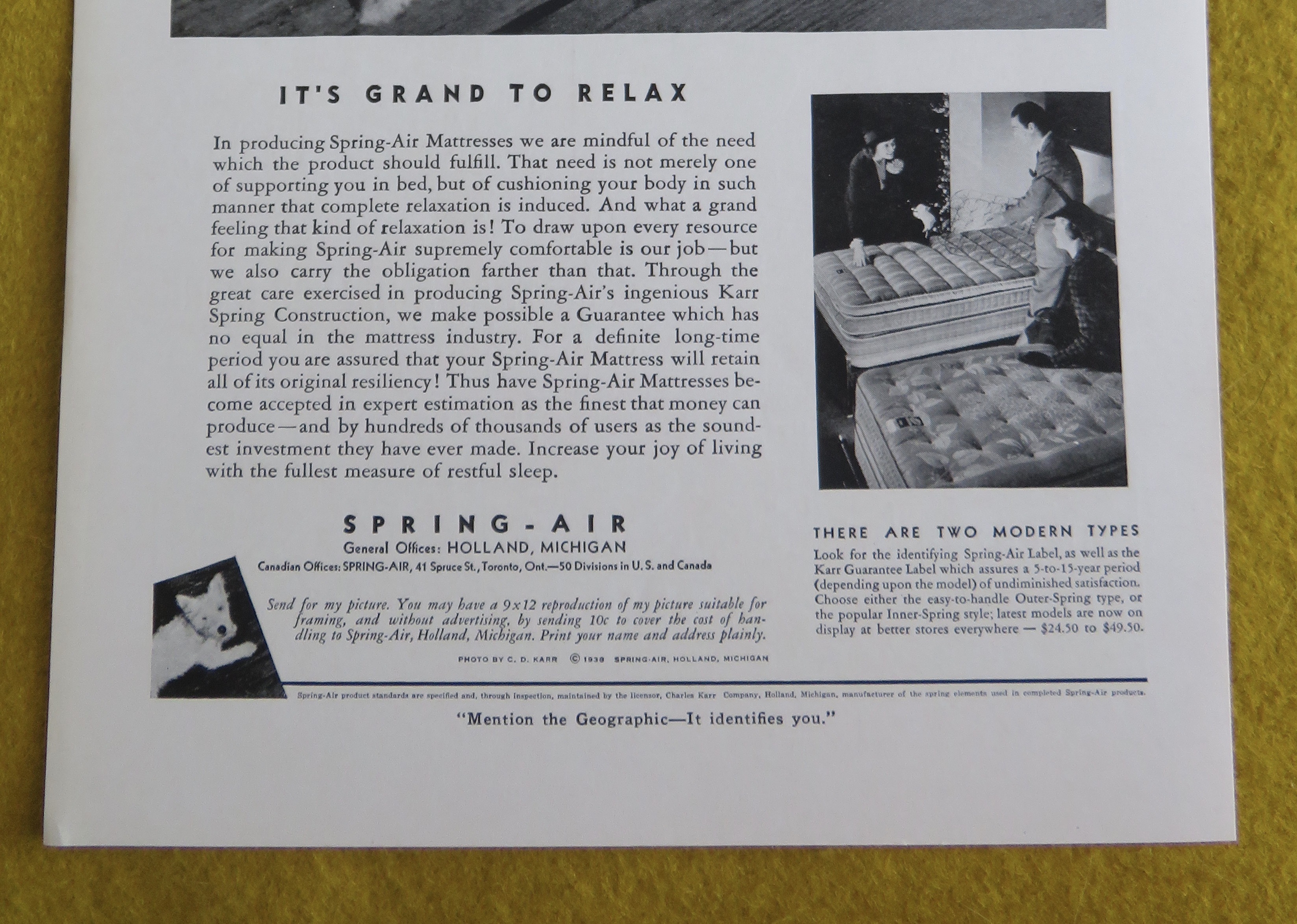1938 Spring Air Mattress with Dog Laying On The Floor