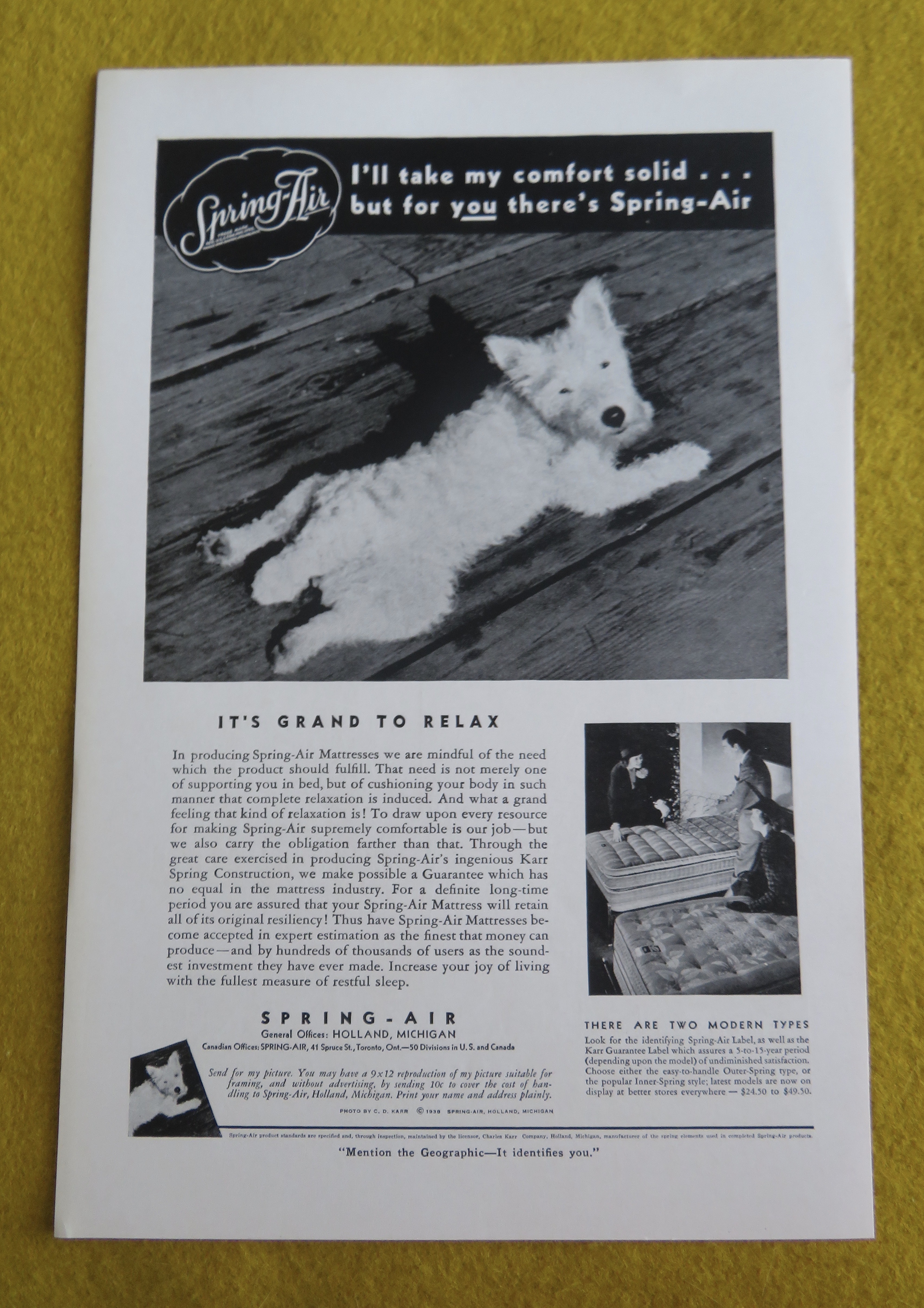 1938 Spring Air Mattress with Dog Laying On The Floor
