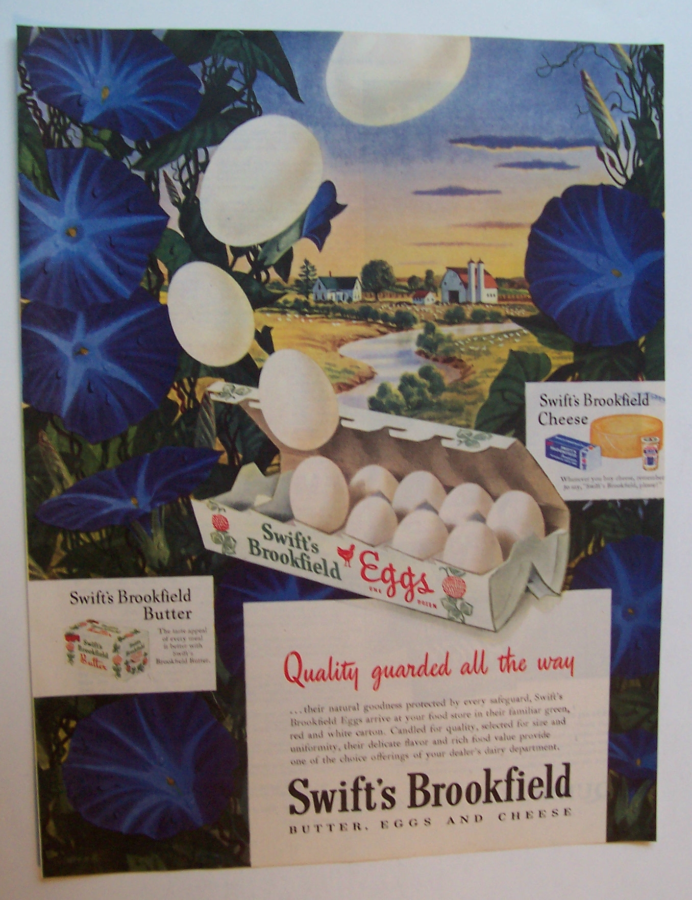 1946 Swift's Brookfield Eggs with a Dozen of Eggs