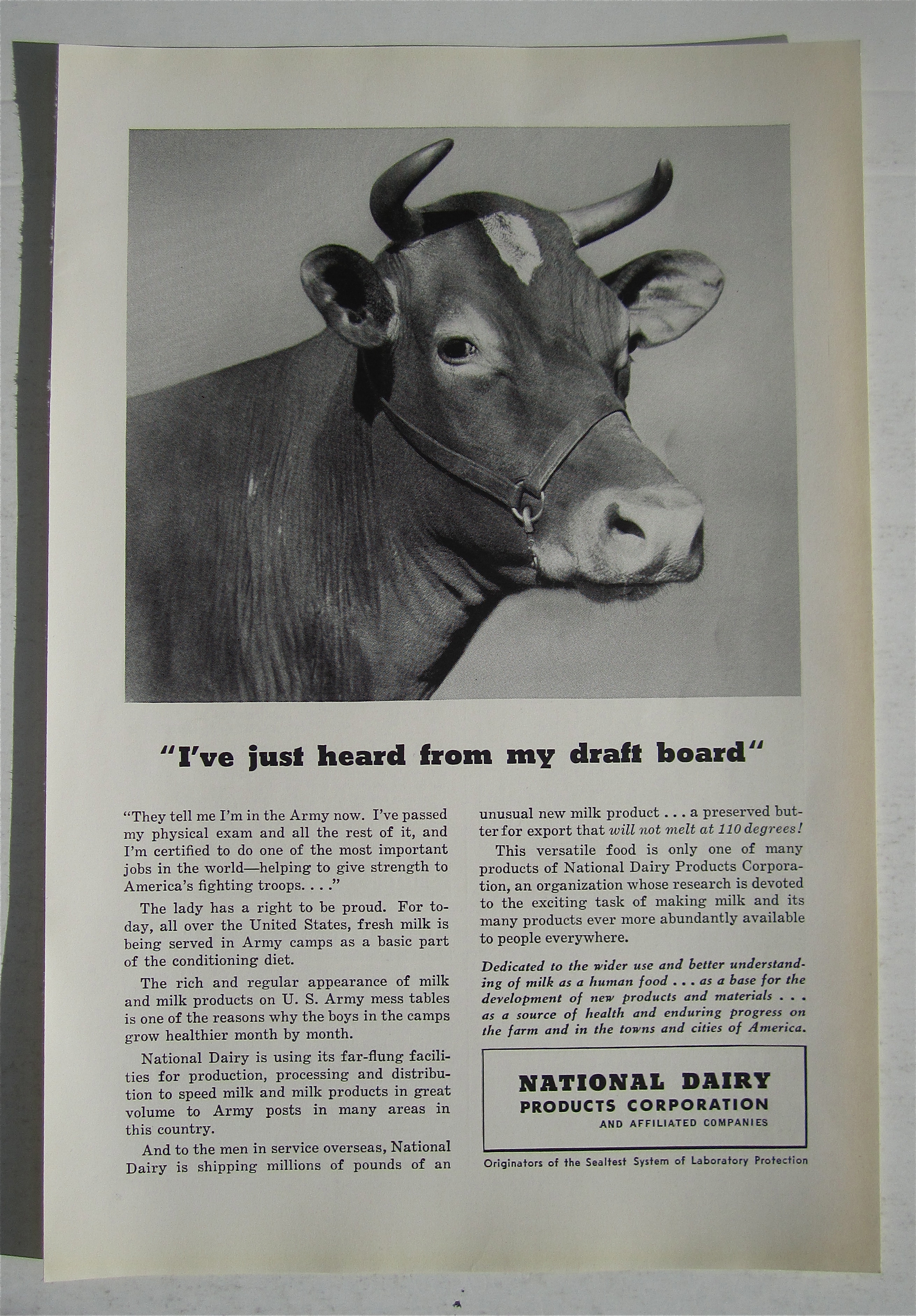 1942 National Dairy Products with Cow with Horns