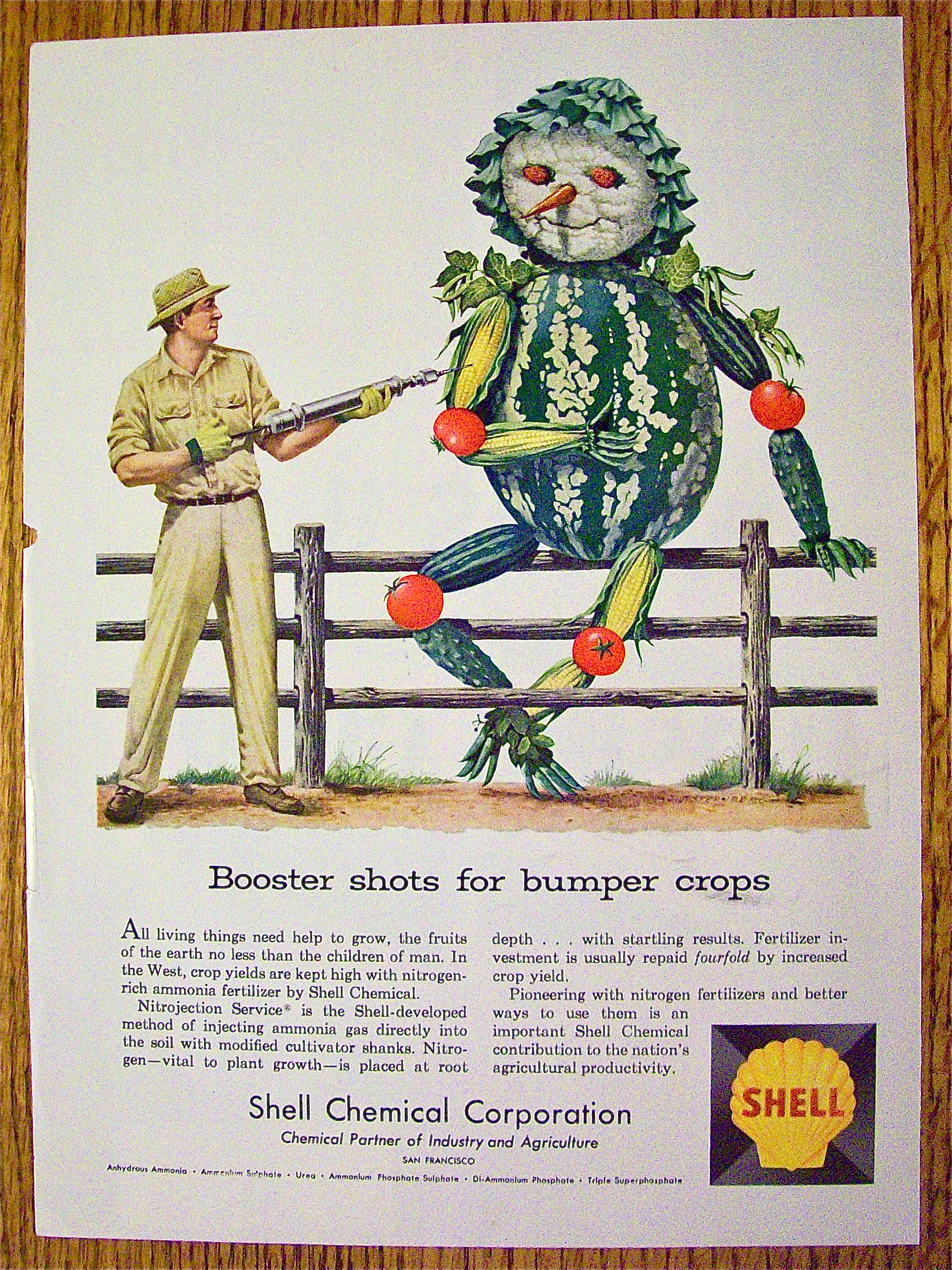 1958 Shell Chemical Corp. with Vegetable Scarecrow