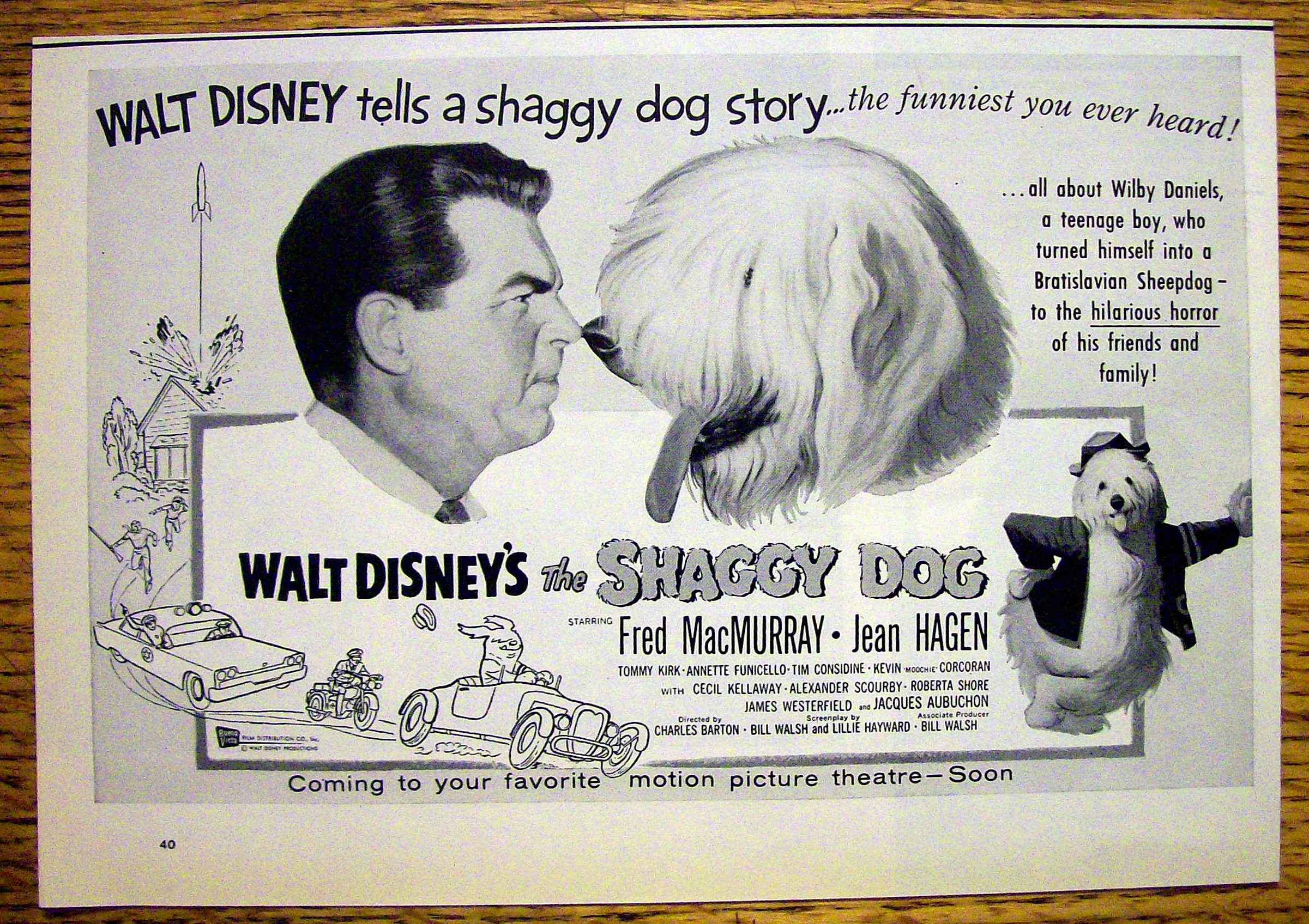 1959 Walt Disney's The Shaggy Dog with Fred MacMurray