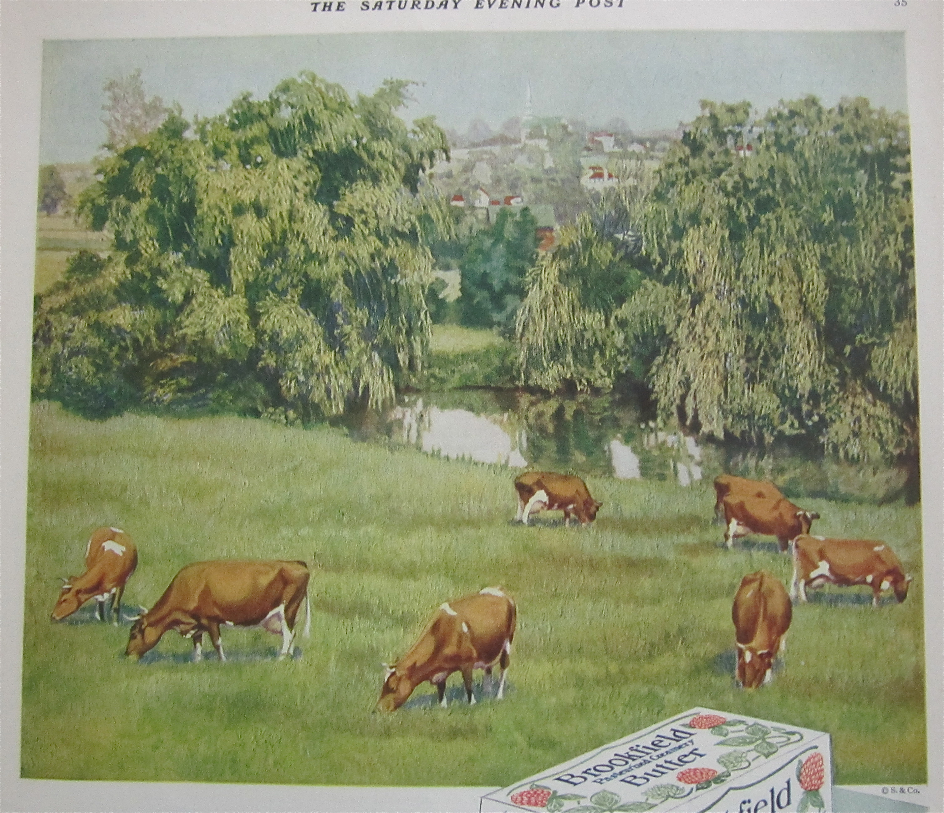 1929 Swift's Brookfield Butter With Cows