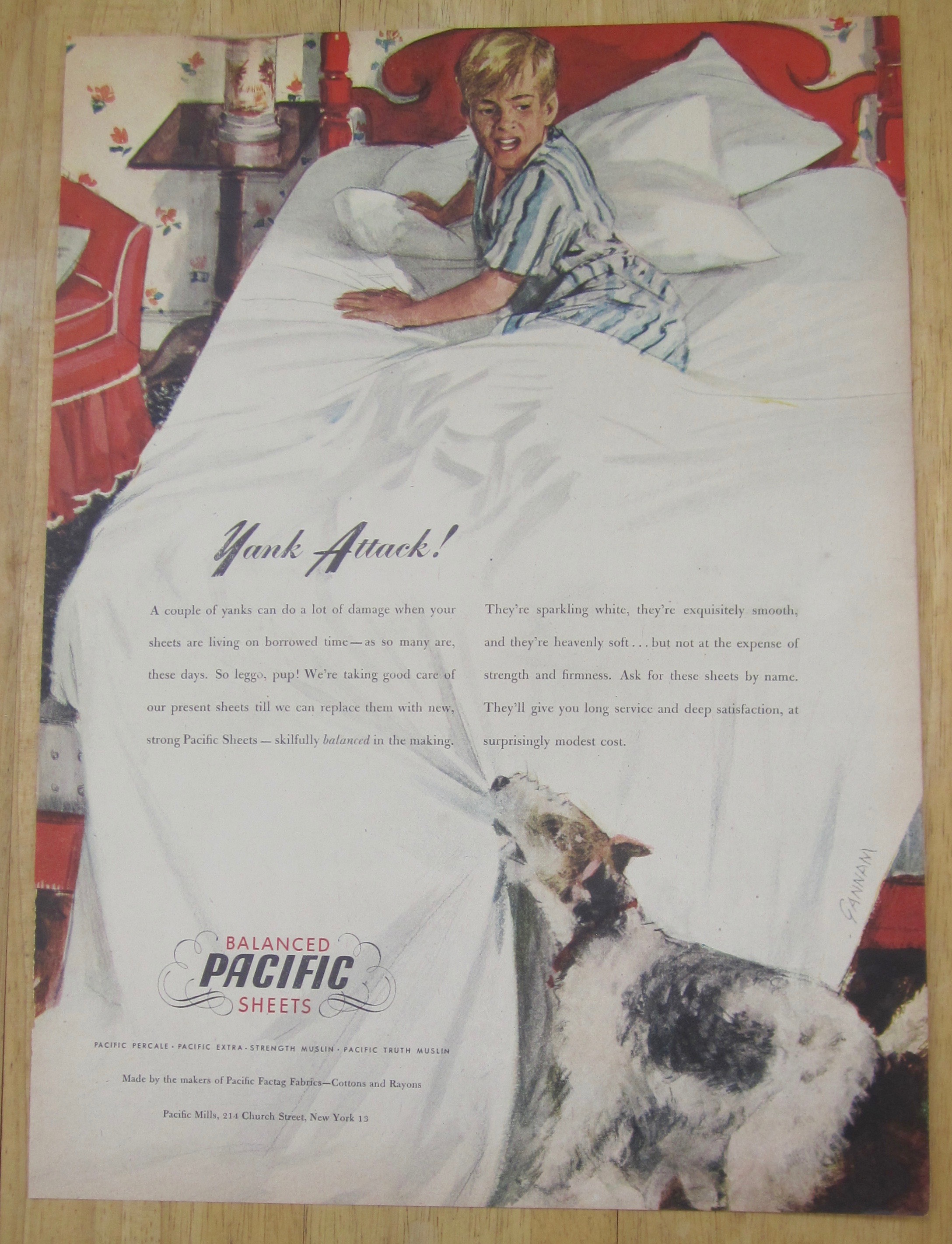 1945 Pacific Sheets w/Dog Pulling Sheets off Boy in Bed