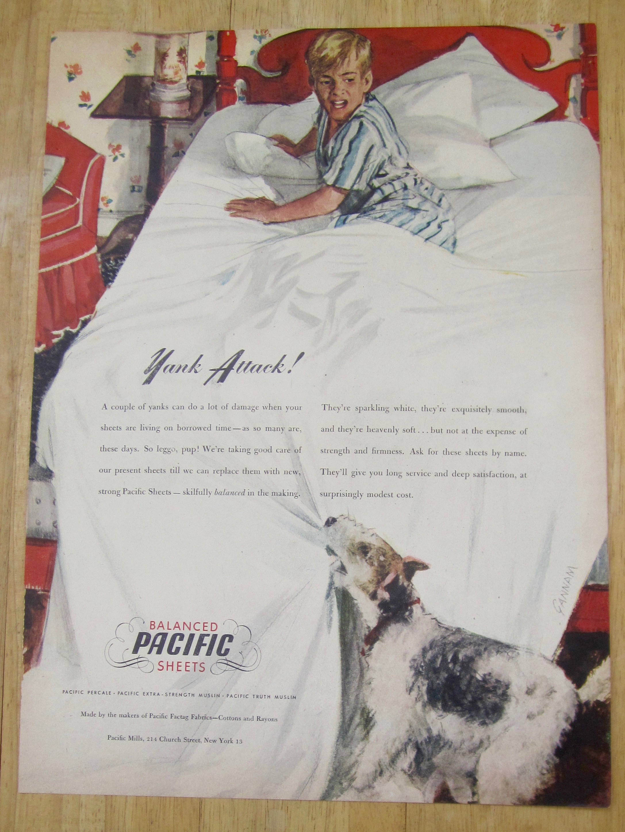 1945 Pacific Sheets w/Dog Pulling Sheets off Boy in Bed