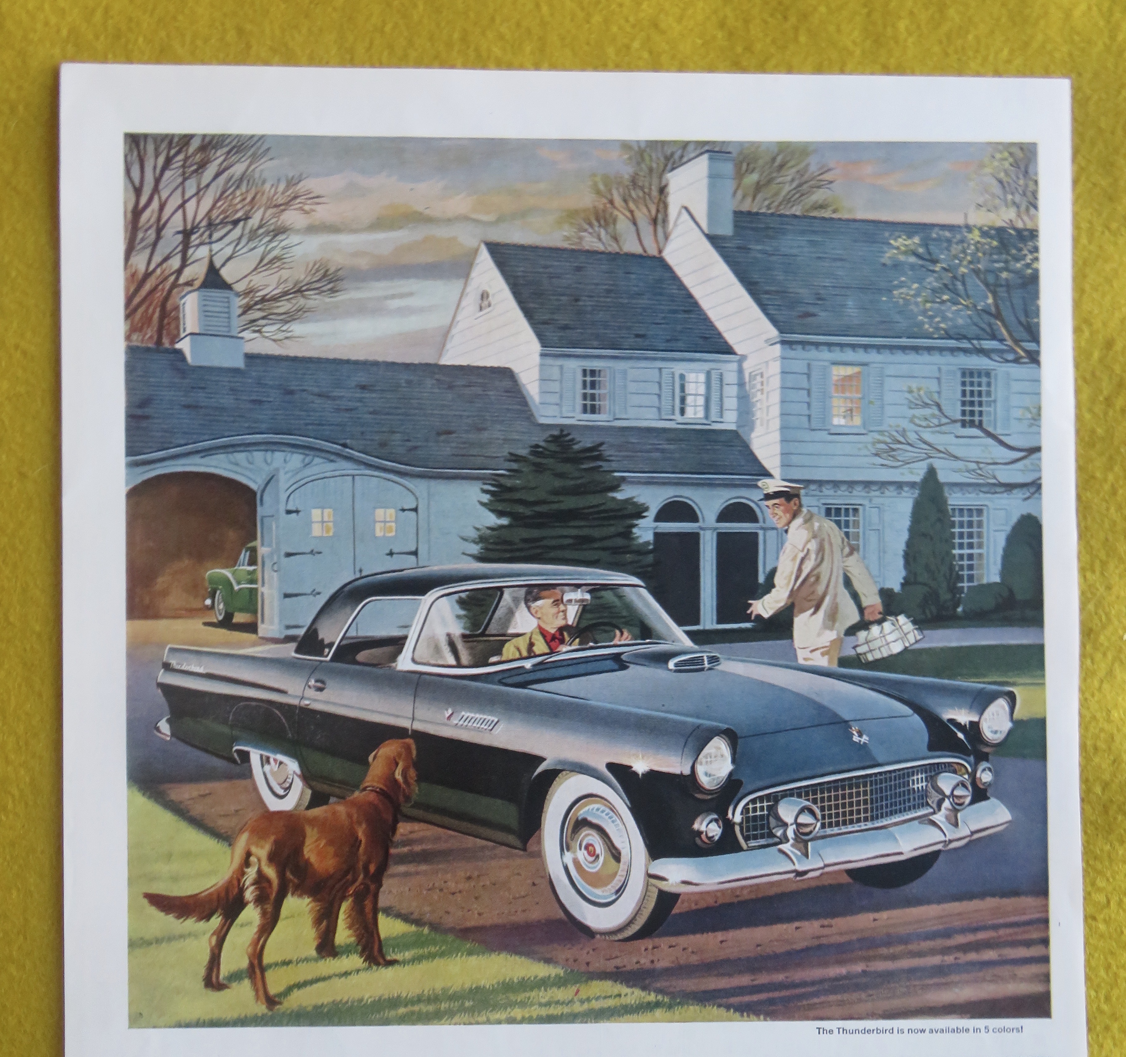 1955 Ford Automobile with the Thunderbird