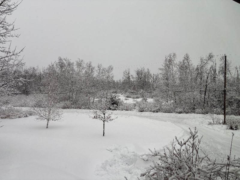 VibeQuest032501 banner