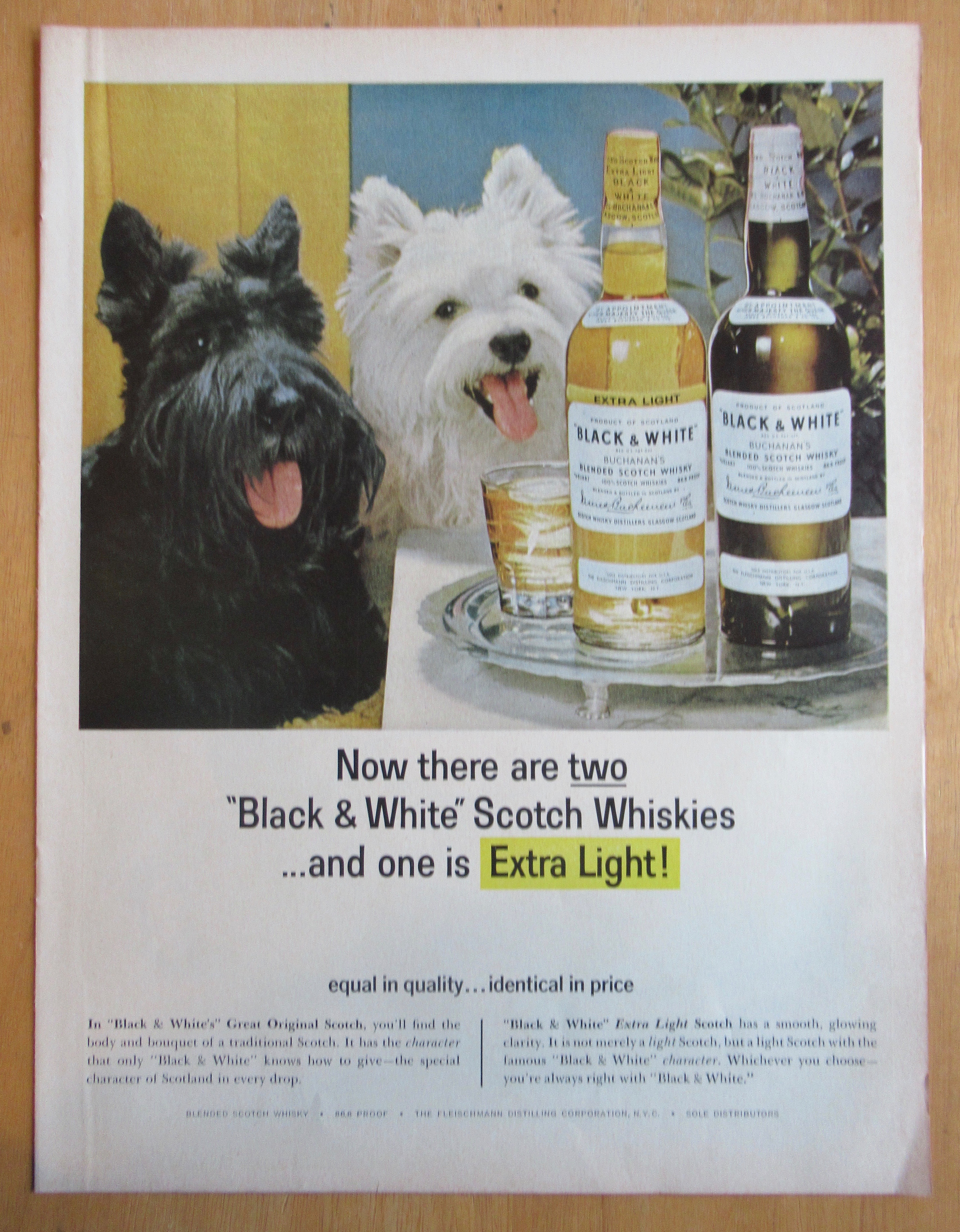1965 Black and White Whiskey w/ Black & White Scotties