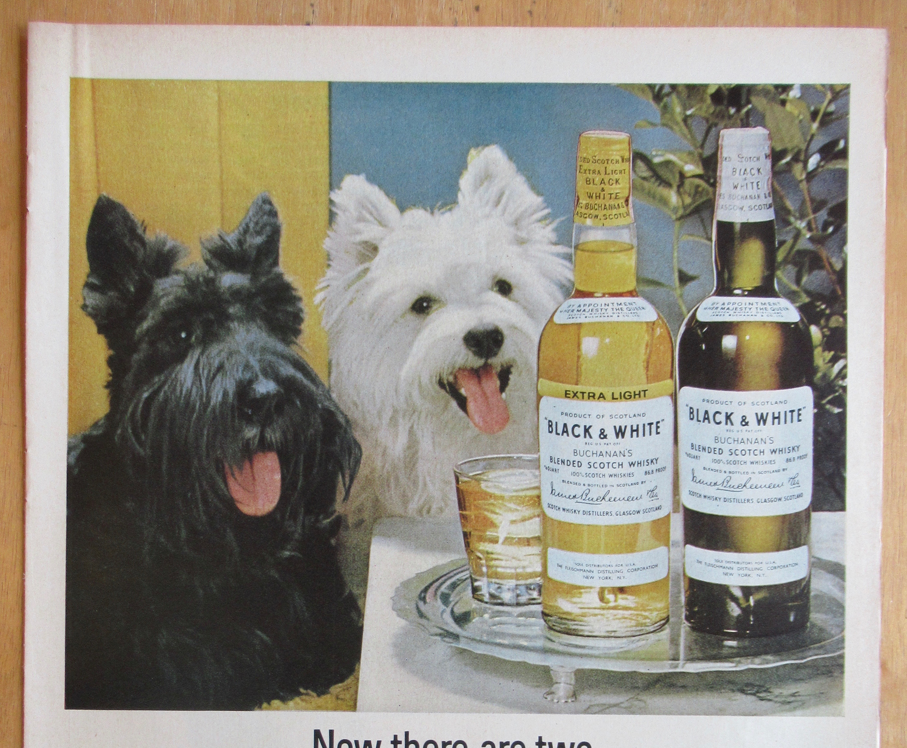 1965 Black and White Whiskey w/ Black & White Scotties