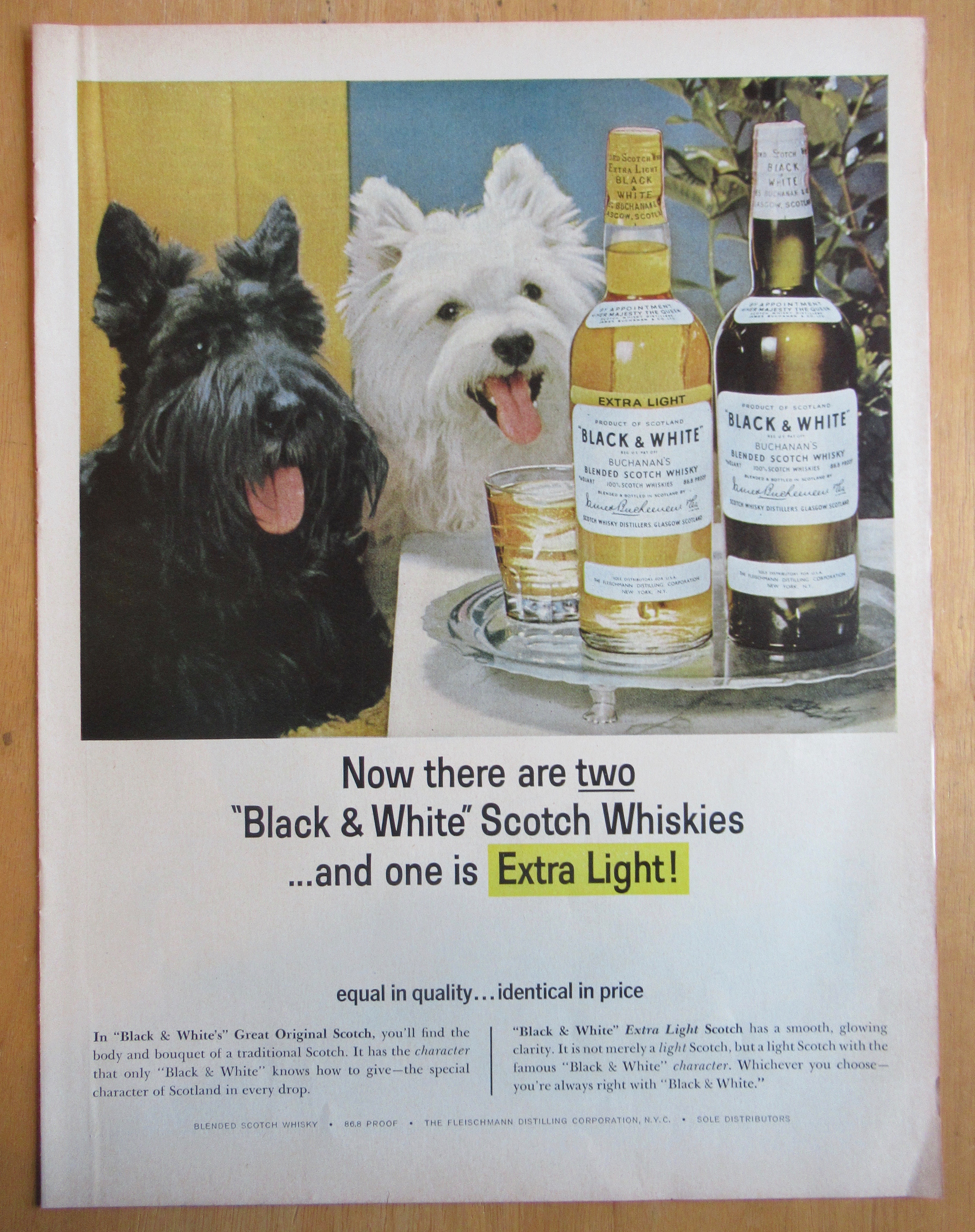 1965 Black and White Whiskey w/ Black & White Scotties
