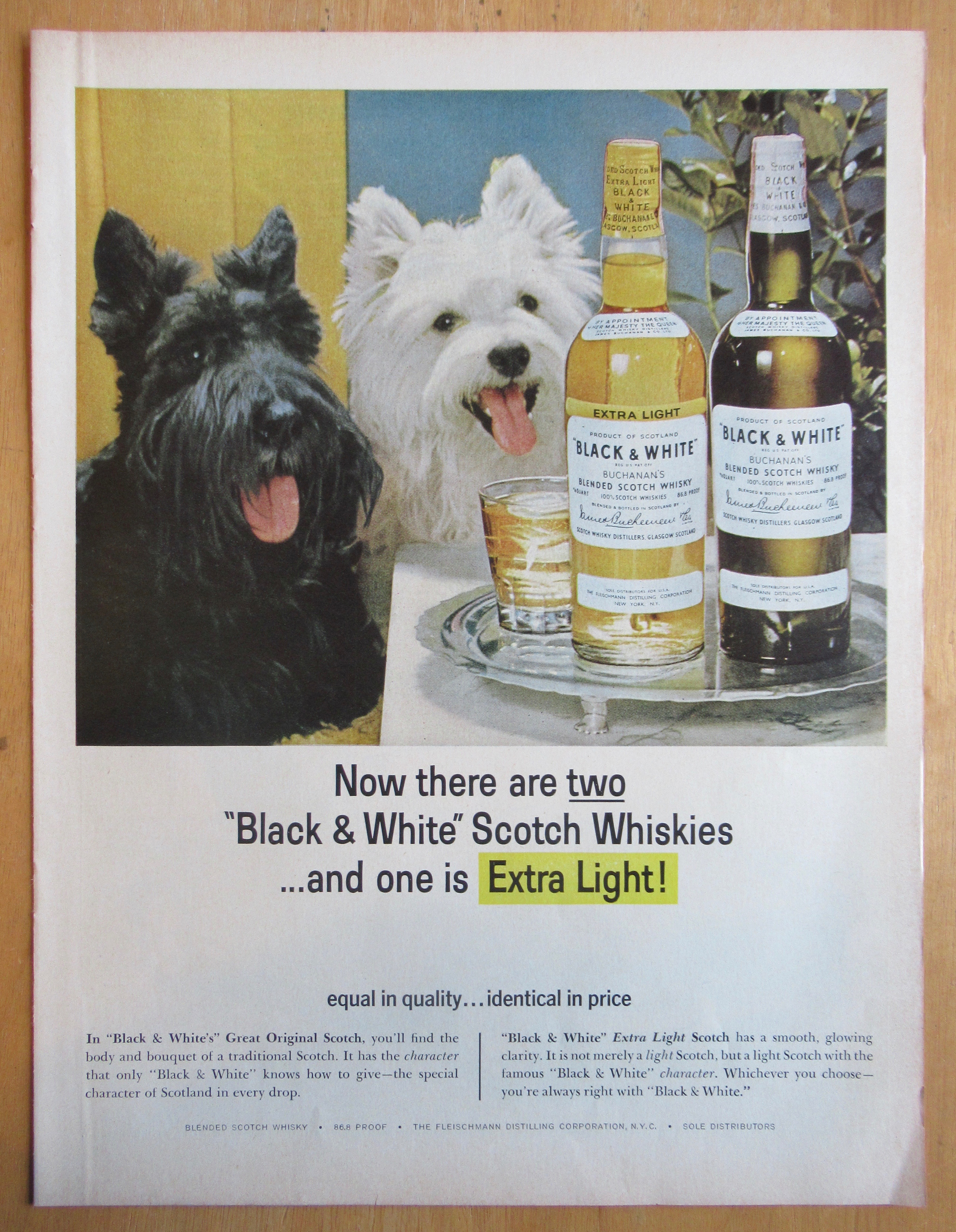 1965 Black and White Whiskey w/ Black & White Scotties